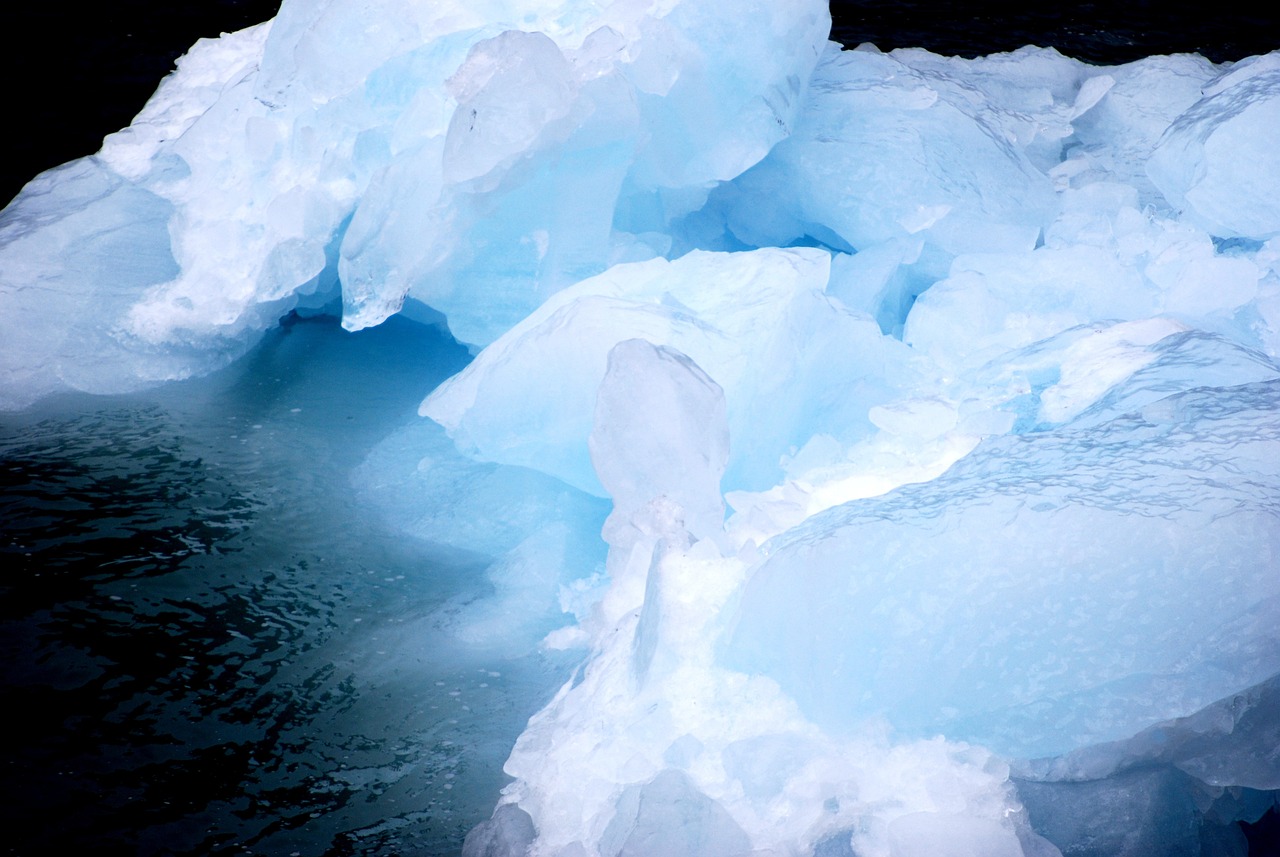 Climate Change: A Driving Factor for the Sixth Mass Extinction?
